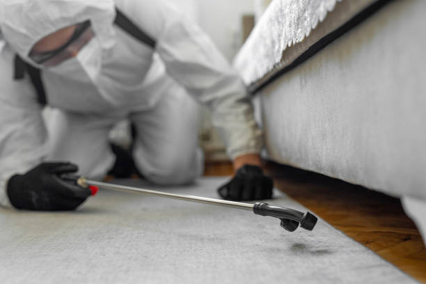 Professional Termite Control technician working in Missoula County County, MT